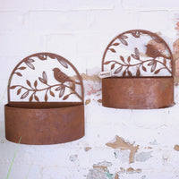 Tanu Rustic Wall Mounted Metal Planter Set with Bird Cut-Outs