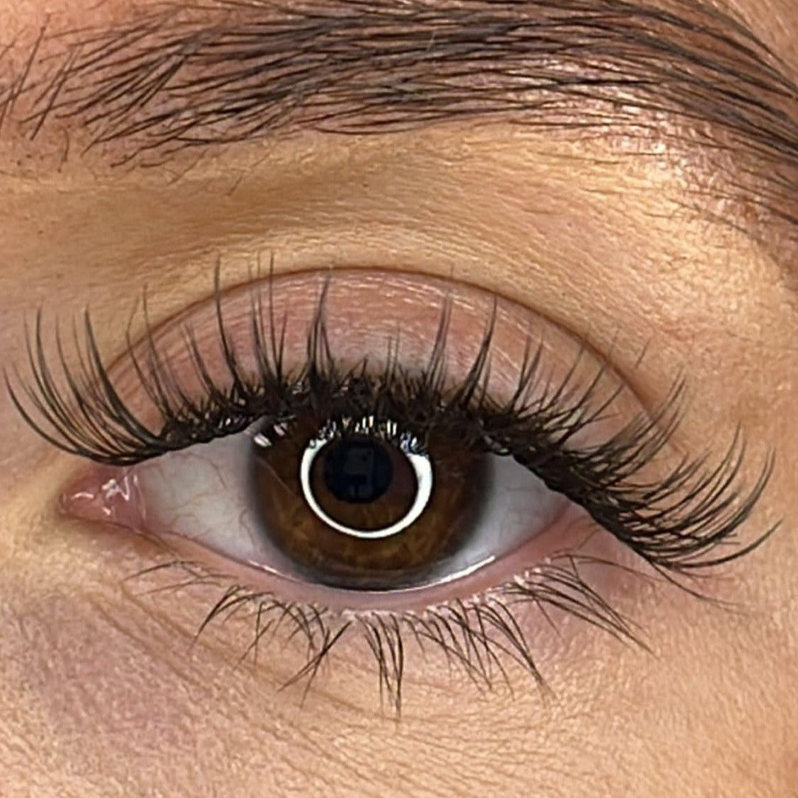 Tara - 'C' Curl Lash Ribbons® Invisible Band