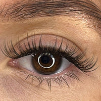 Tara - 'C' Curl Lash Ribbons® Invisible Band