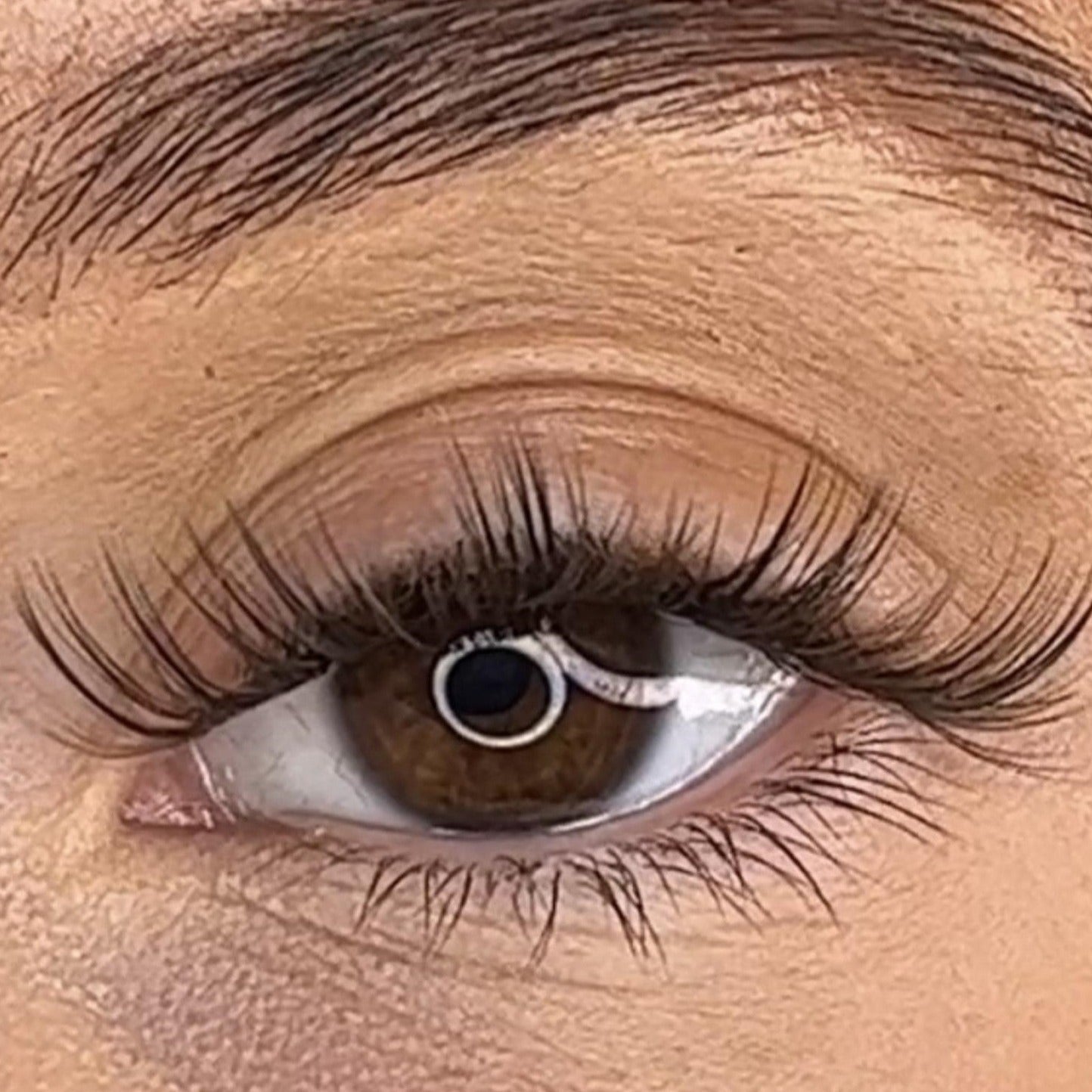 Tegan - 3D Black/Brown 'C' Curl 18mm Lash Ribbons® - Sale Item