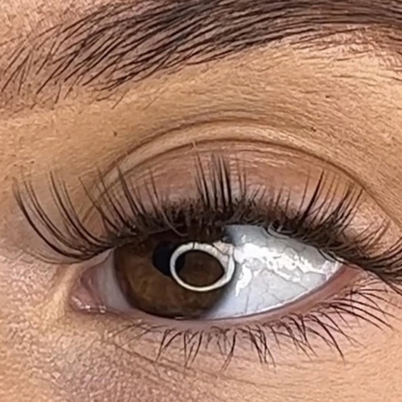 Tegan - 3D Black/Brown 'C' Curl Lash Ribbons®