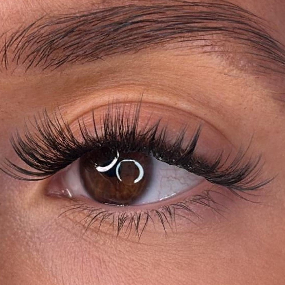 Tegan - 3D 'D' Curl Lash Ribbons®
