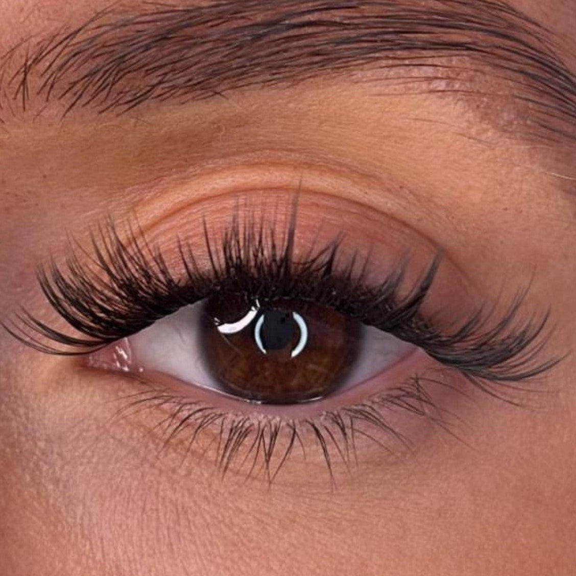 Tegan - 3D 'D' Curl Lash Ribbons®