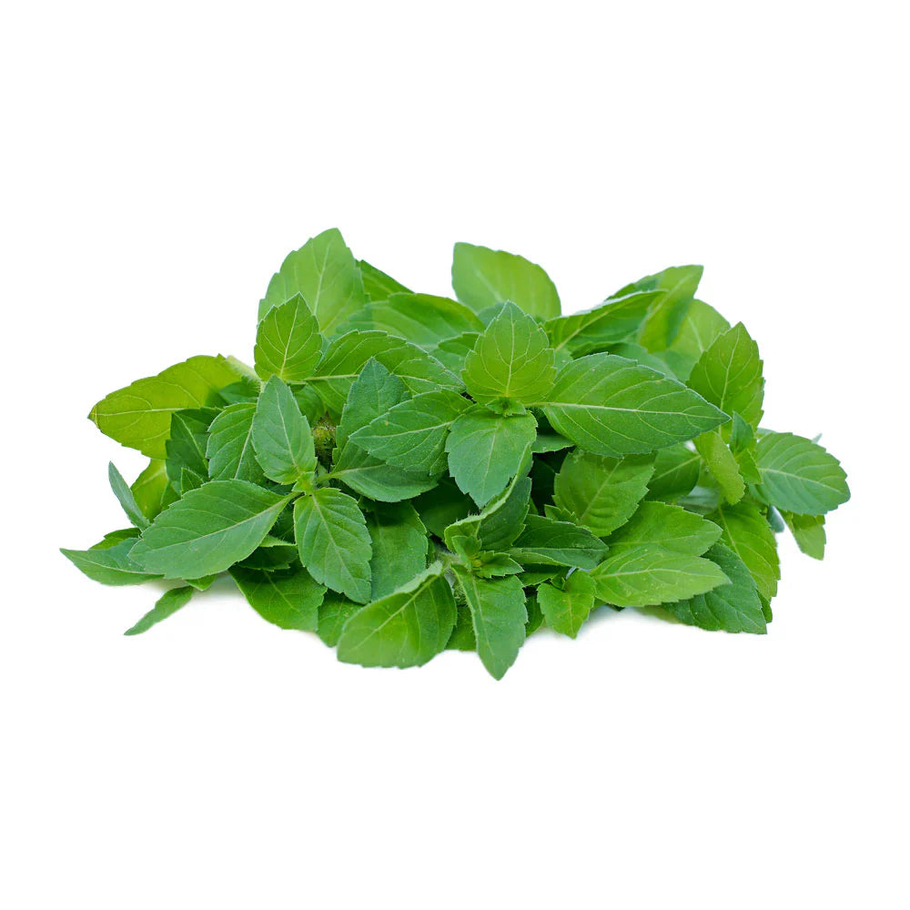 Fresh Holy Basil 100g
