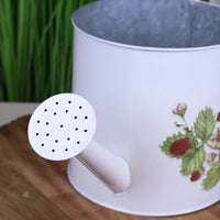 Thaniya Strawberry Field Decorative Watering Can Planter