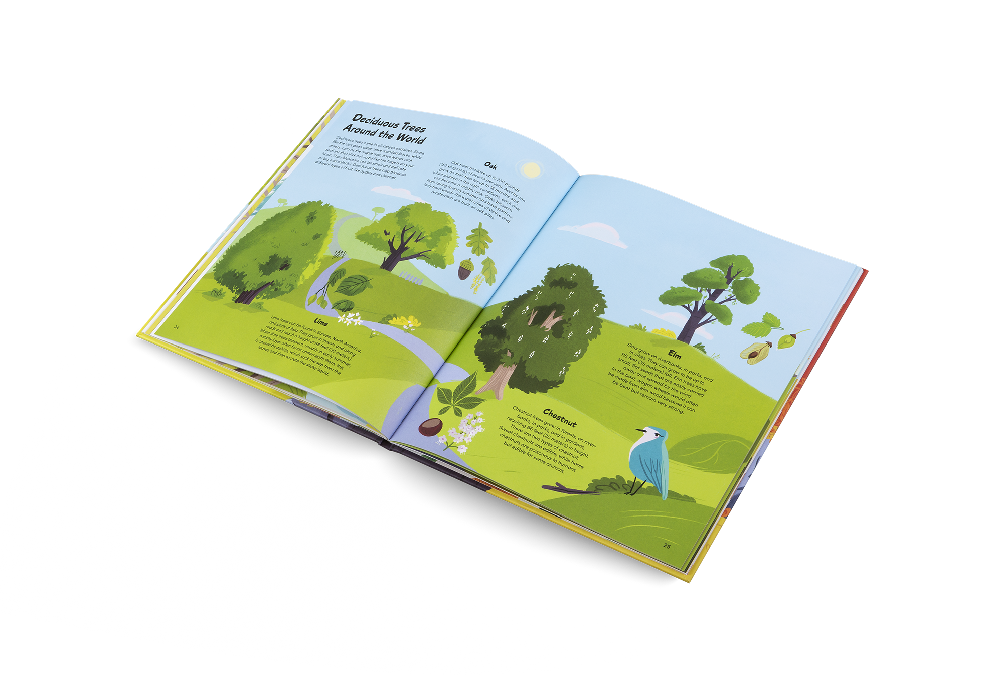 The Little Book of Trees