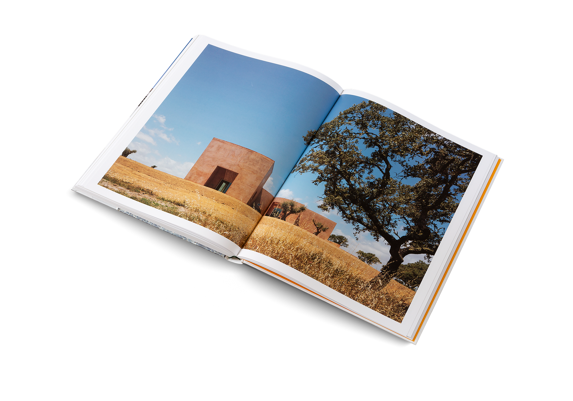 The Mediterranean Home