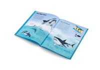 The World of Sharks
