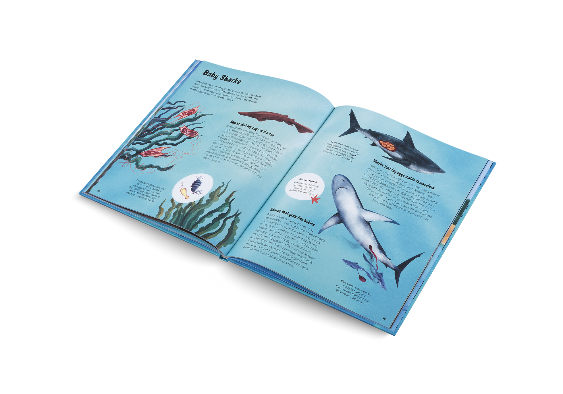 The World of Sharks