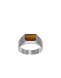 Atlas Ring Silver