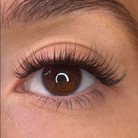 Trista Pre Styled Lash Ribbons®