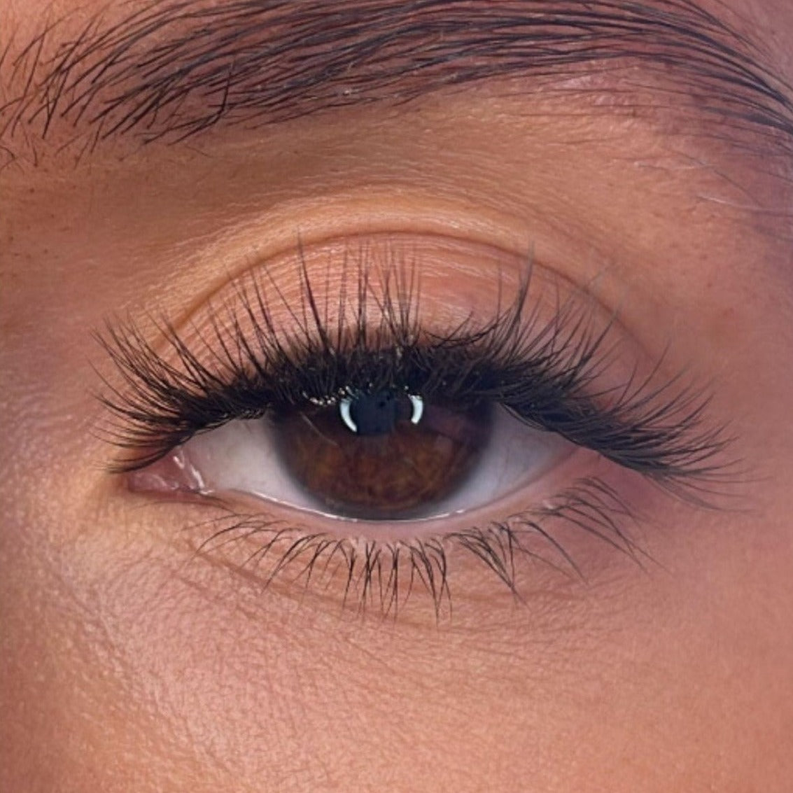 Vevina Pre Styled Lash Ribbons®