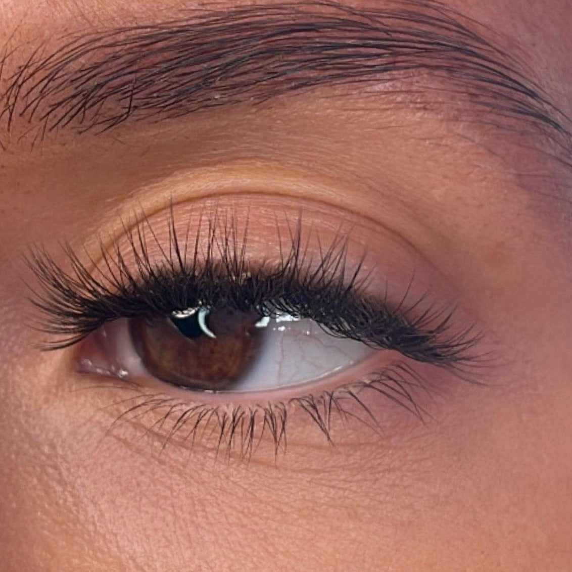 Vevina Pre Styled Lash Ribbons®