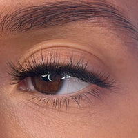 Vevina Pre Styled Lash Ribbons®