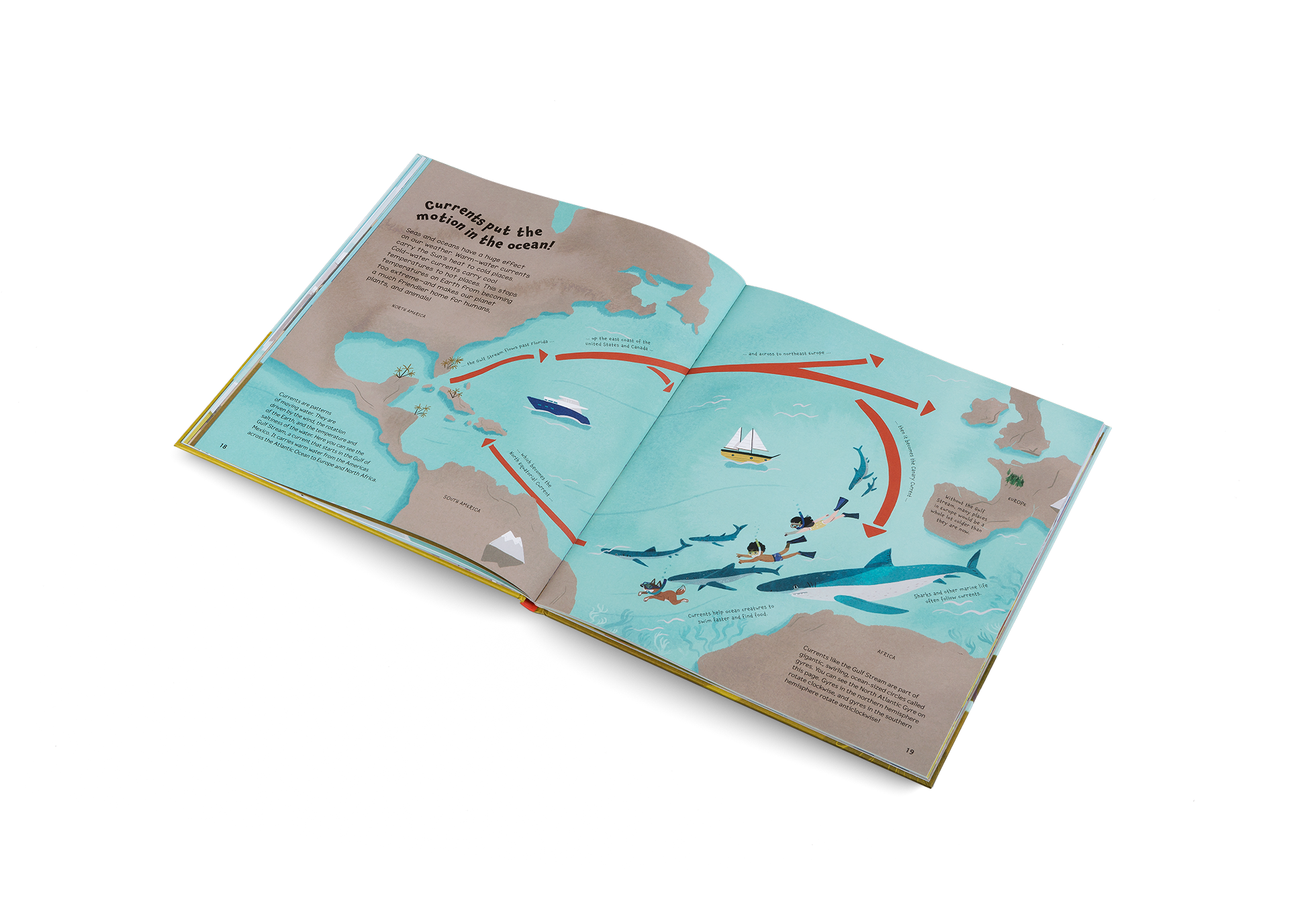 Whatever the Weather