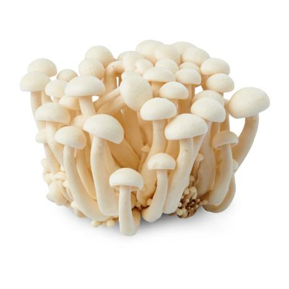 Fresh White Shimeji Mushroom 150g