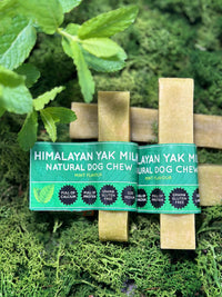 Mint Yak Dog Chew