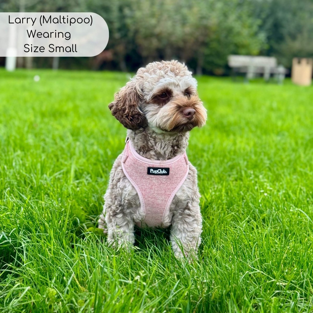 Tweed Adjustable Harness - Pink