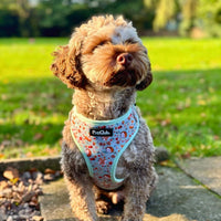 Adjustable Harness - Woodland Friends