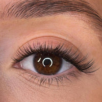 Aileen Pre Styled Lash Ribbons®