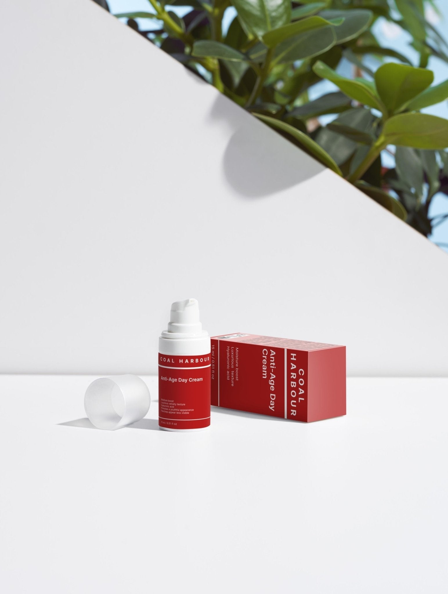 The Summer Season Bestsellers Collection Box