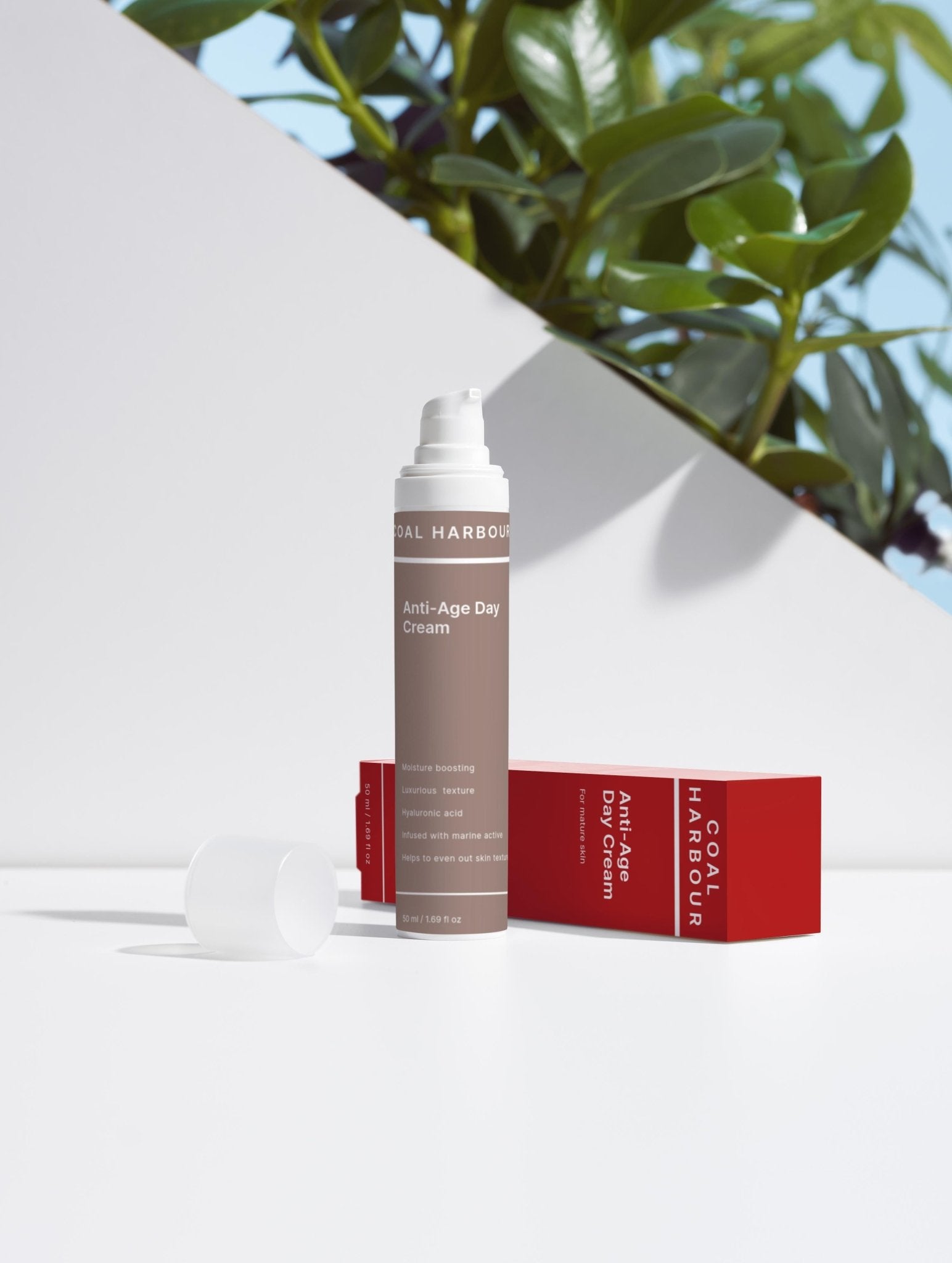 Anti-Ageing Collection Box