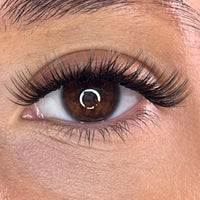 Lash Ribbons® Exclusive Lash Christmas Trees
