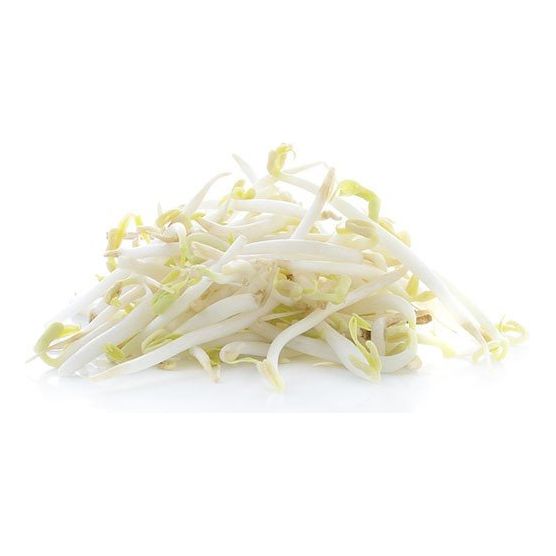 Fresh Mung Bean Sprout 380g