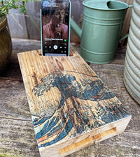 Colour Artwork: the 'Laid Back' Acoustic Speaker