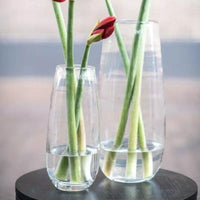 VASE ROBERT - CLEAR glass by DutZ