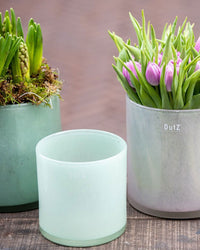 CYLINDER C1 Candle Votive -  MENTHOL