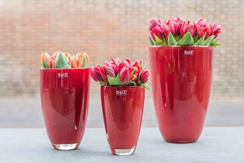 FLOWERVASE - RED by DutZ