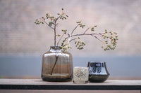 Orchid POT MARCO - SMOKE by DutZ