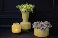 Glass Vase Shani - Chartreuse