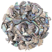 Abalone Shell Tumbled, Unsized