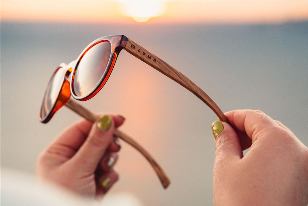 Luma Sunglasses - Tarka - Tortoise