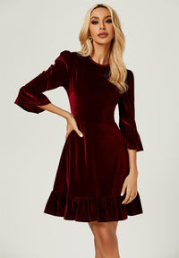 Velvet Frill Detail Mini Dress In Wine