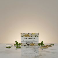 Eucalyptus, Lemon & Mint 100g Soap Bar