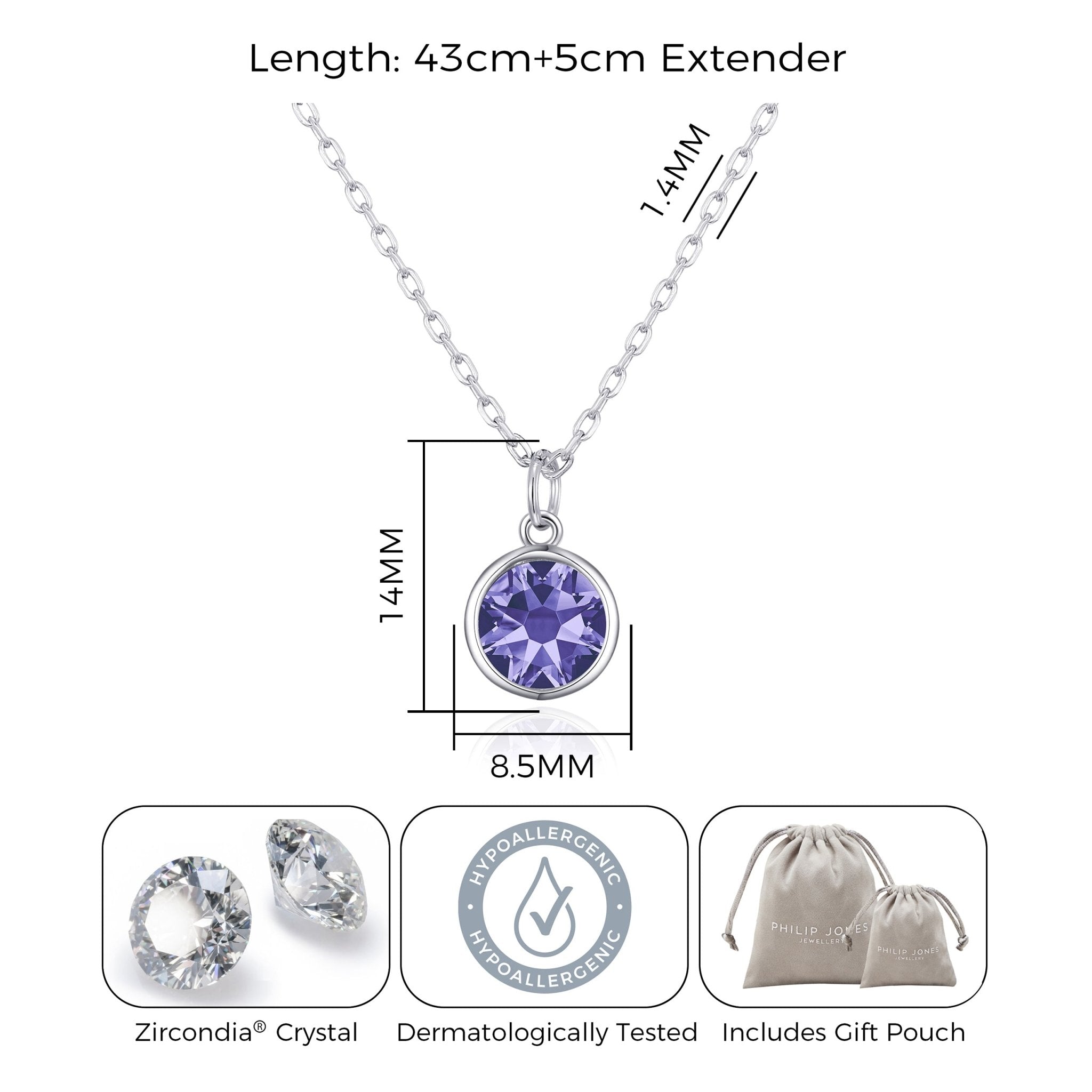 February (Amethyst) Birthstone Necklace Created with Zircondia® Crystals