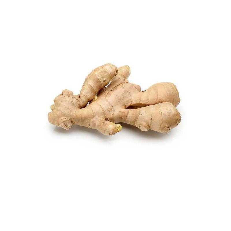 Fresh Ginger 110g~