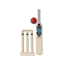 GM Diamond Mini Cricket Set