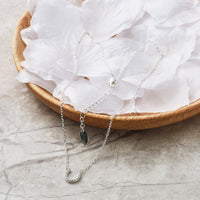 Horseshoe Necklace Created with Zircondia® Crystals