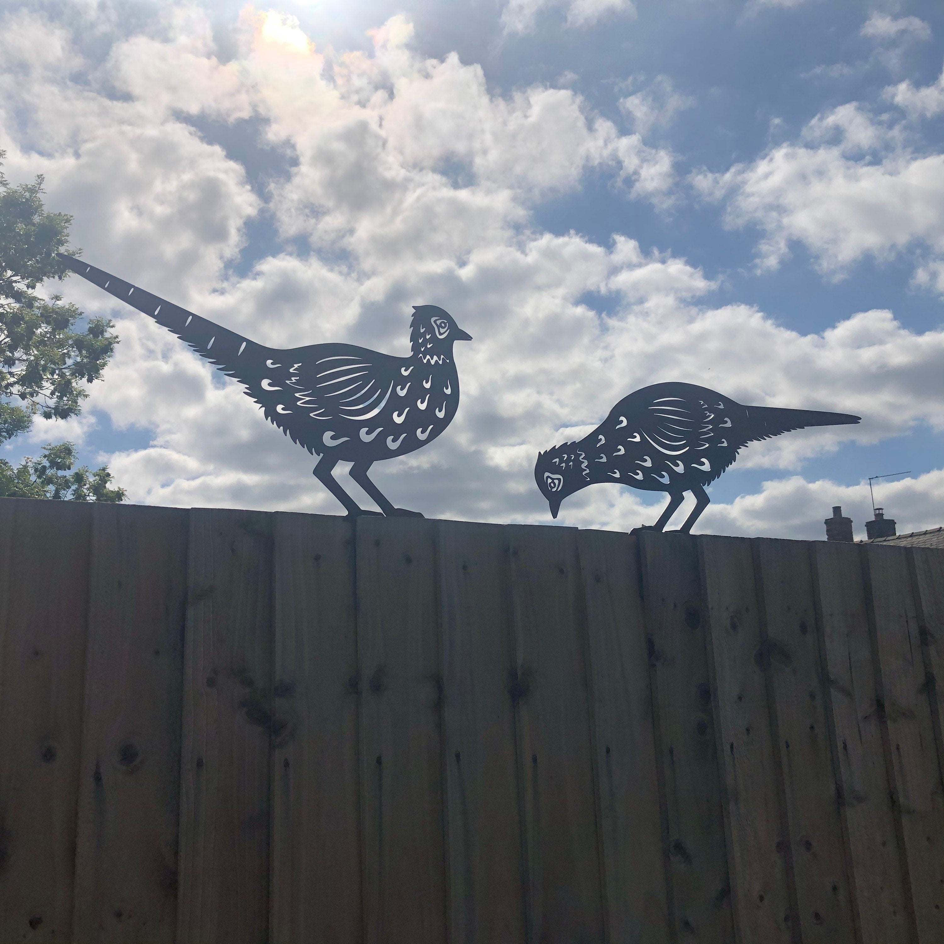 2 Rusty Metal Pheasants Garden Pheasants