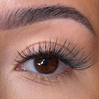 Quinn Pre Styled Lash Ribbons®