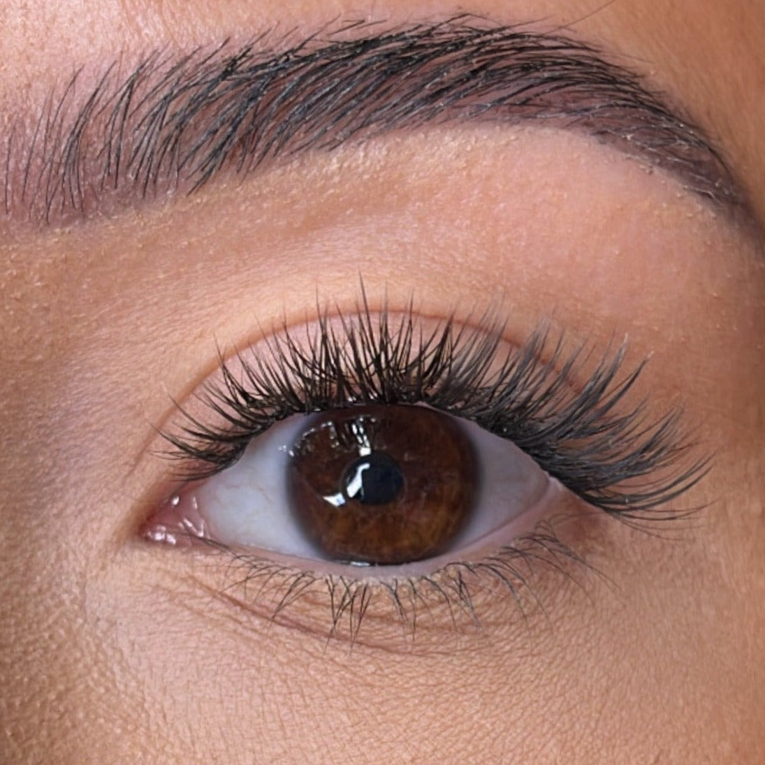 Kelly Pre Styled Lash Ribbons®