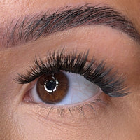 Regan Pre Styled Lash Ribbons®