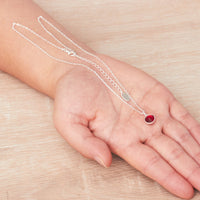 January (Garnet) Birthstone Necklace Created with Zircondia® Crystals