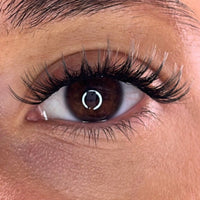 Lash Ribbons® Exclusive Lash Christmas Trees
