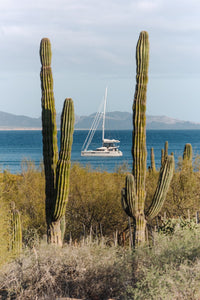 Sailing the Seas Vol. 2