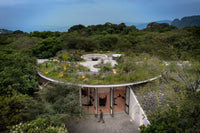 The House of Green